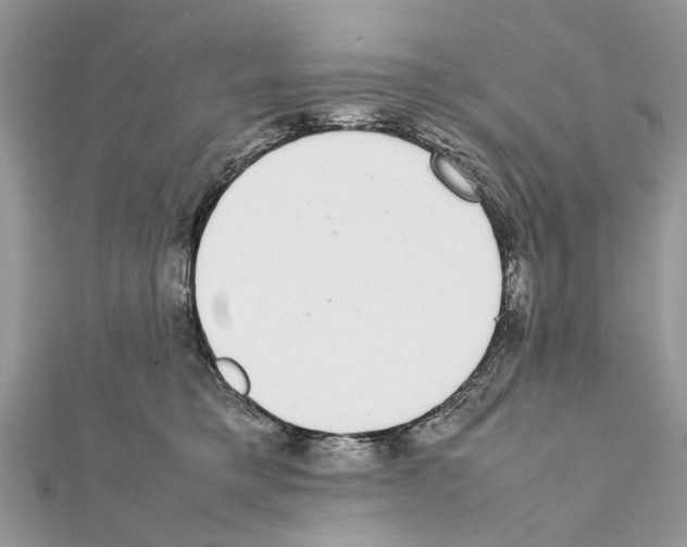 X0000111370421200908211322