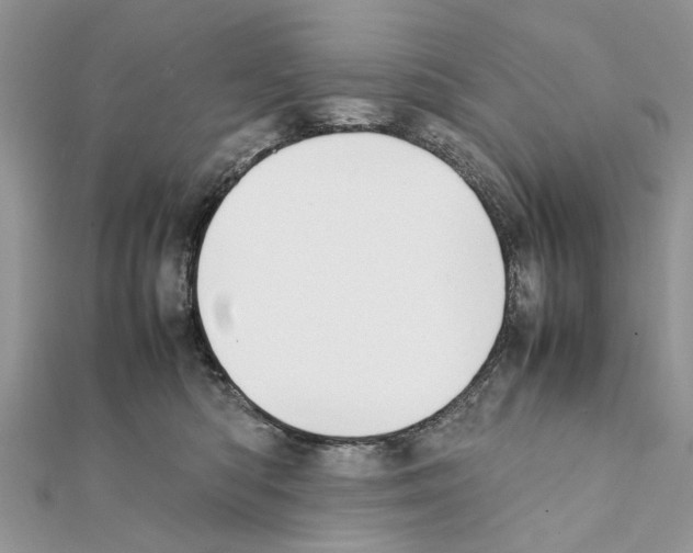 X0000111370422200908211322