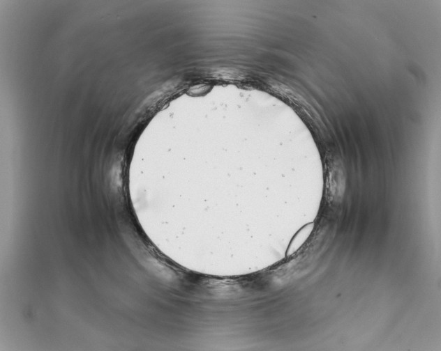 X0000111370424200908211322