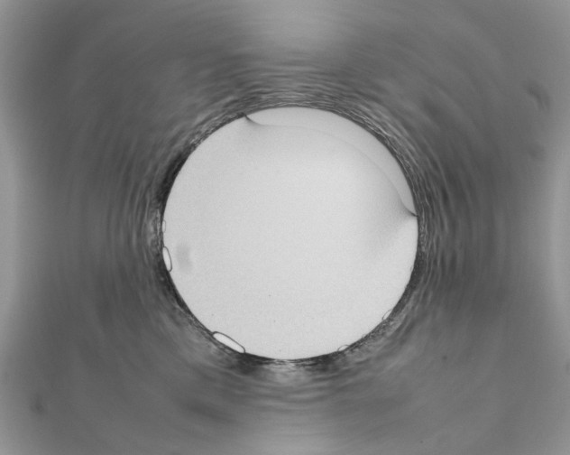 X0000111370425200908211322