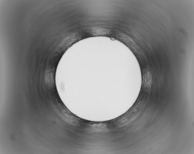 X0000111370426200908211322