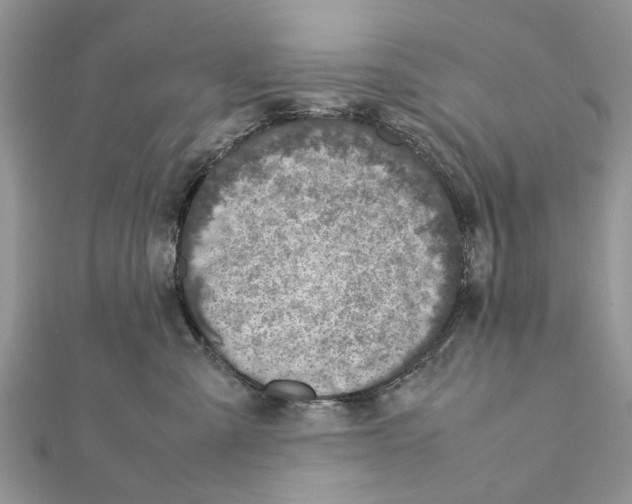 X0000111370427200908211322