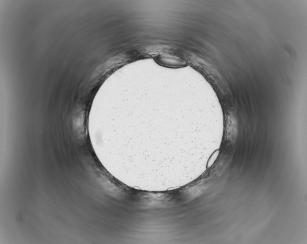 X0000111370428200908211322