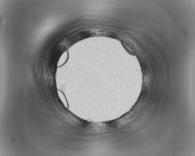 X0000111370429200908211322