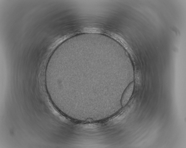 X0000111370433200908211321