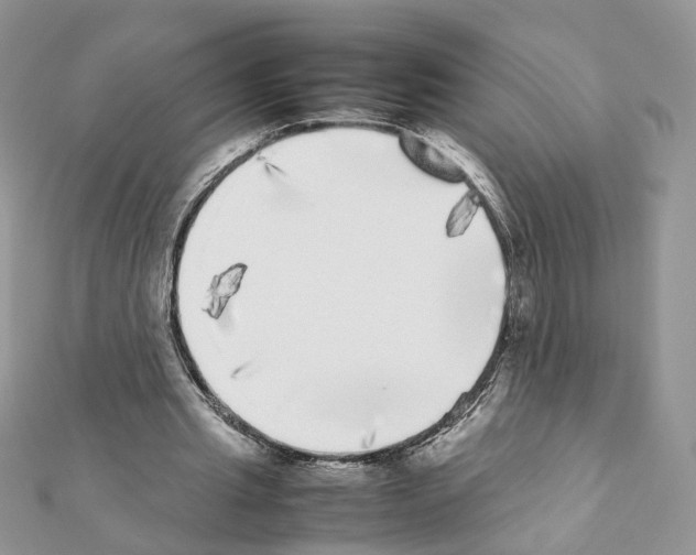 X0000111370437200908211321