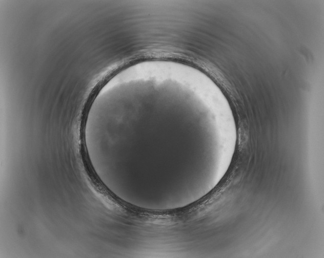 X0000111370438200908211321