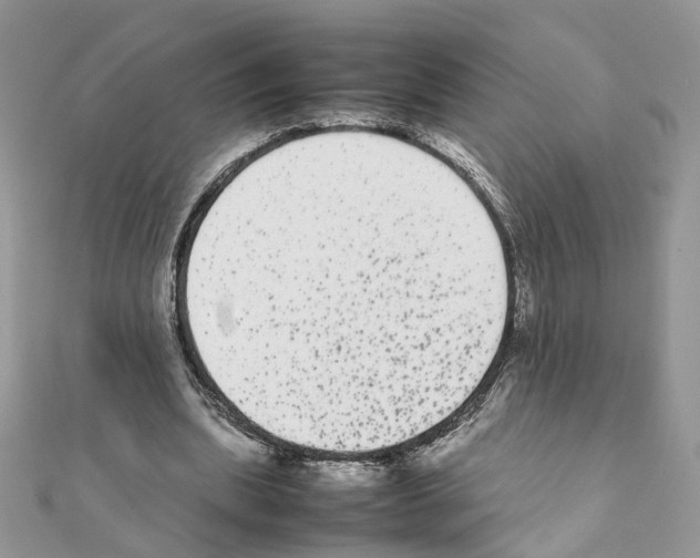 X0000111370439200908211322