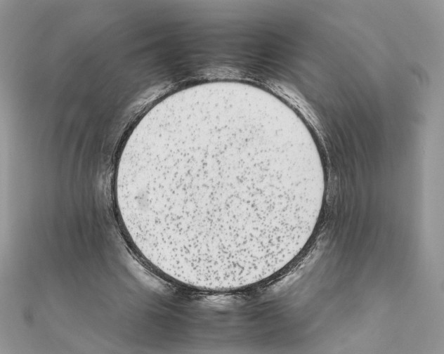 X0000111370441200908211322