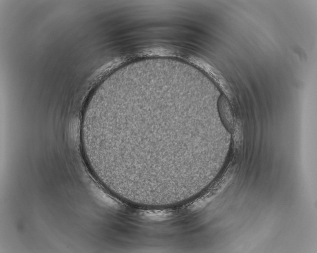 X0000111370445200908211322
