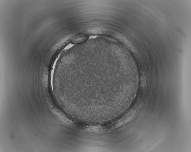 X0000111370446200908211322