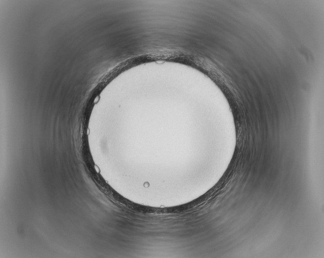 X0000111370448200908211322