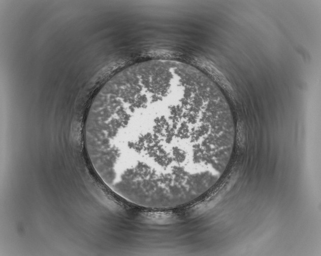 X0000111370449200908211322