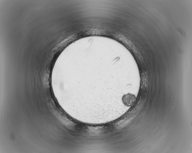 X0000111370450200908211322