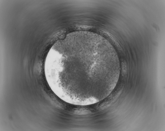 X0000111370451200908211322