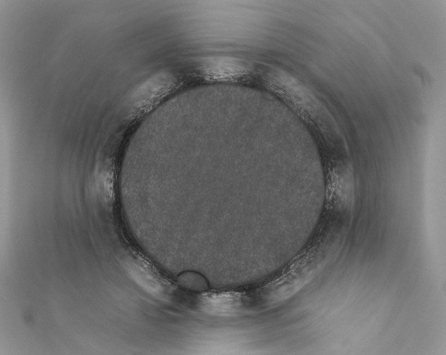 X0000111370452200908211322
