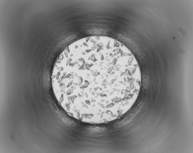 X0000111370453200908211322