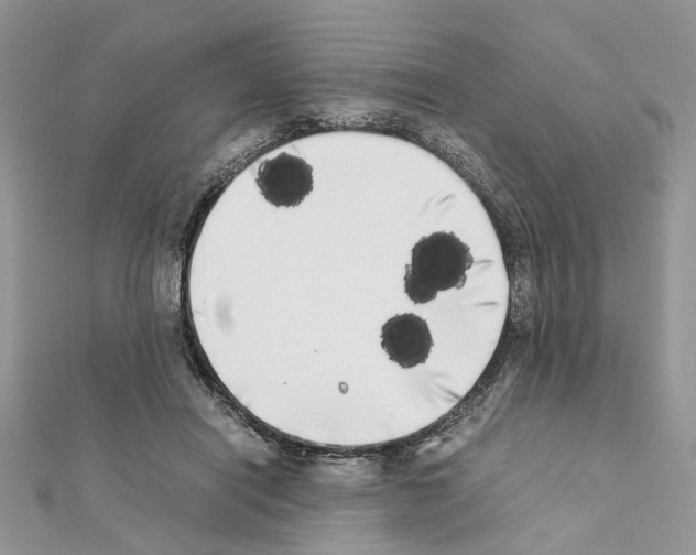 X0000111370454200908211322