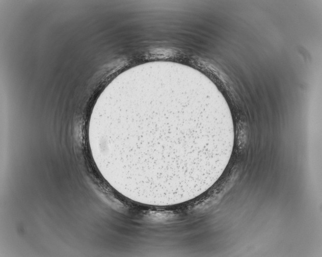 X0000111370455200908211322