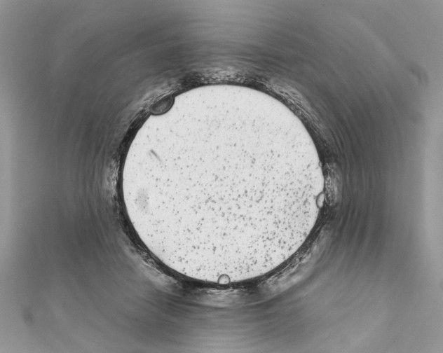 X0000111370458200908211322