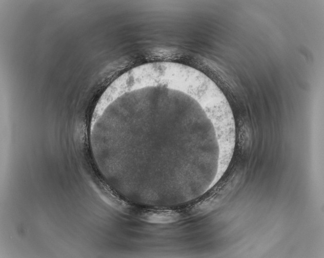 X0000111370459200908211322