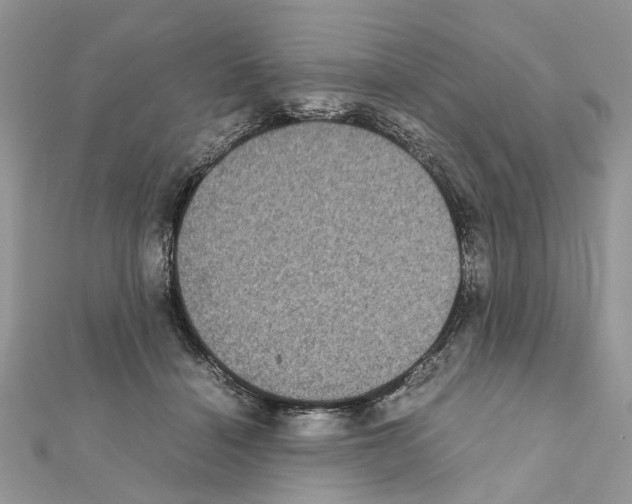 X0000111370460200908211322
