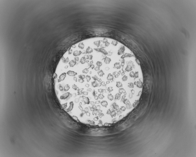 X0000111370461200908211322