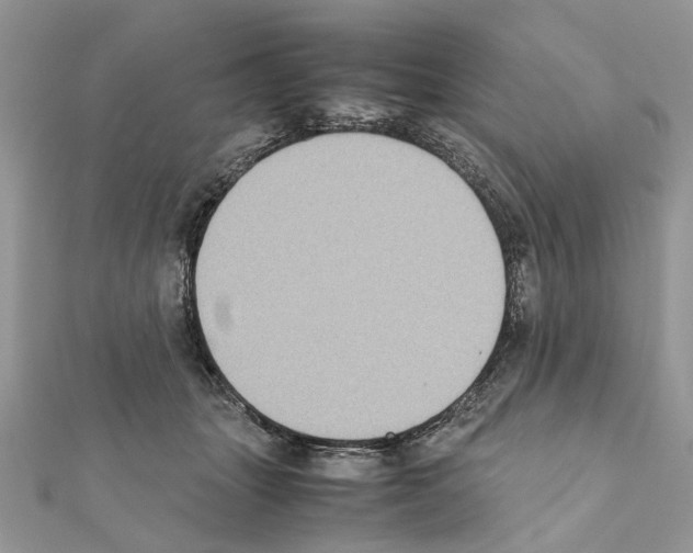 X0000111370463200908211322