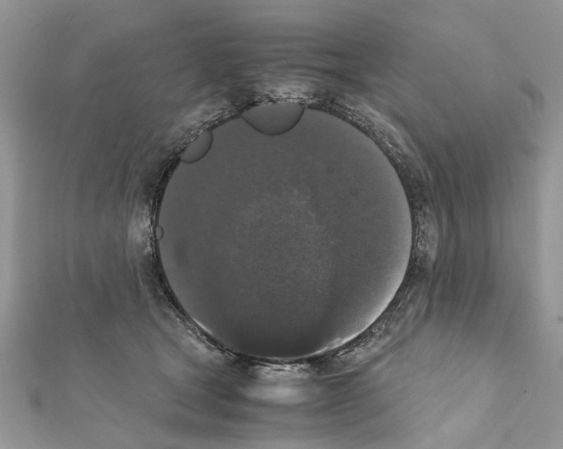 X0000111370465200908211322