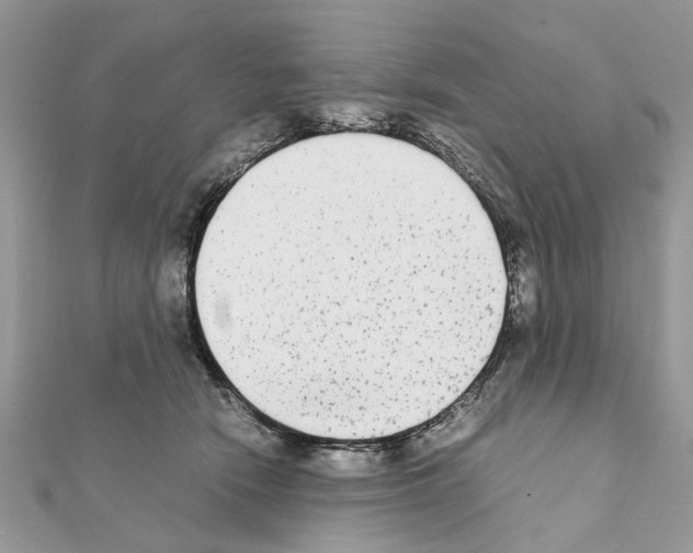 X0000111370466200908211322