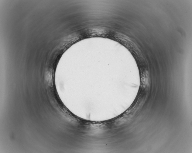 X0000111370468200908211322