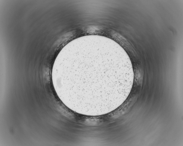 X0000111370470200908211322