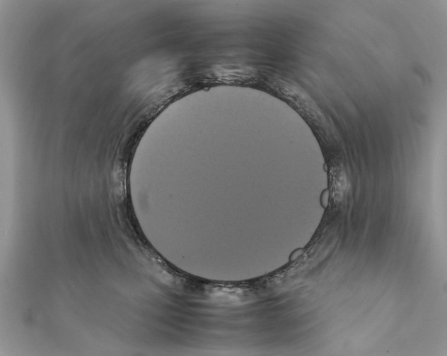 X0000111370471200908211322