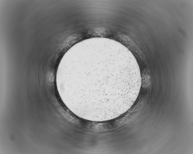 X0000111370472200908211322