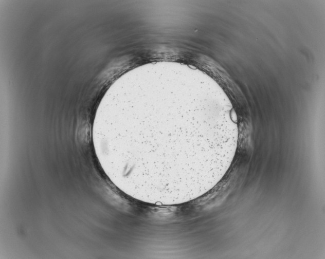 X0000111370474200908211322