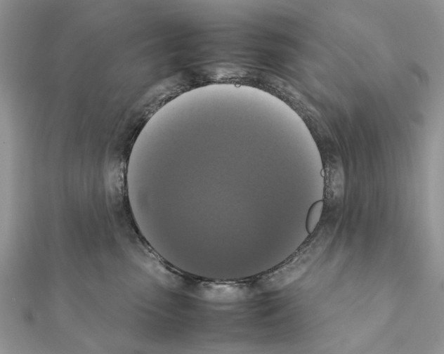 X0000111370475200908211322