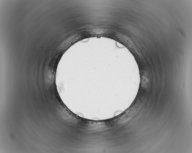 X0000111370476200908211322