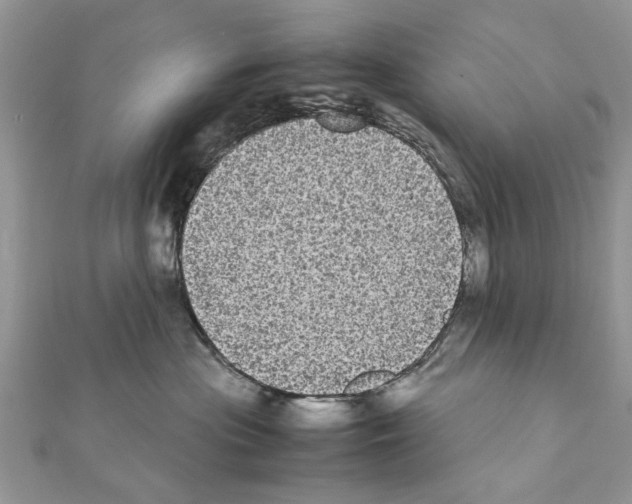 X0000111370477200908211322
