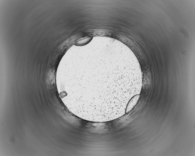 X0000111370478200908211322