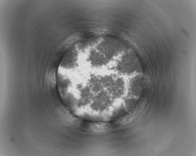 X0000111370479200908211322
