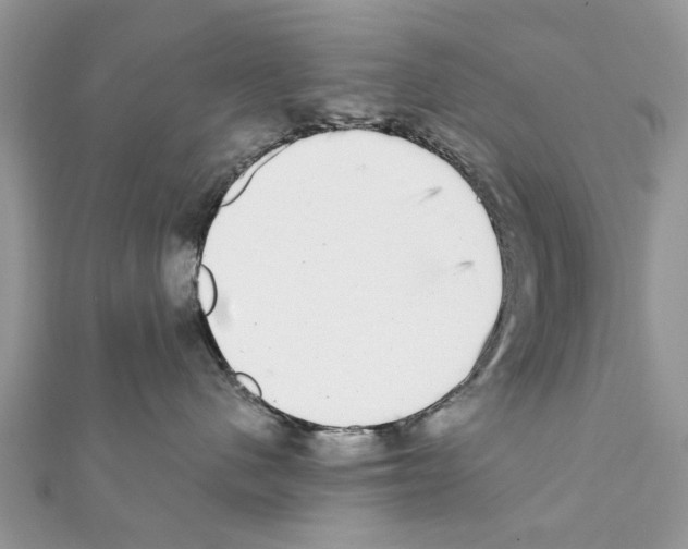 X0000111370480200908211322