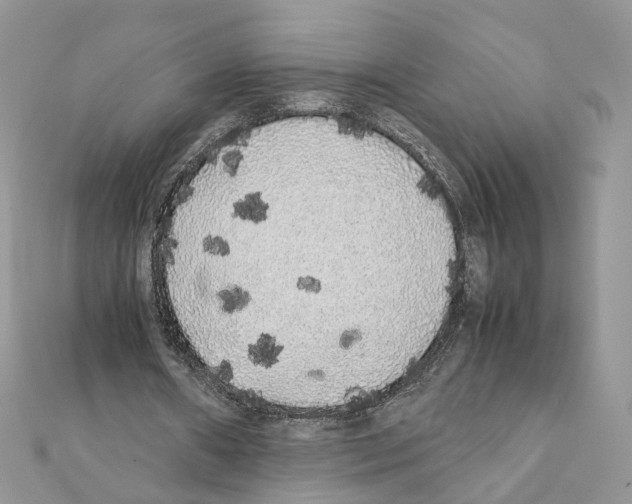 X0000111370482200908211321