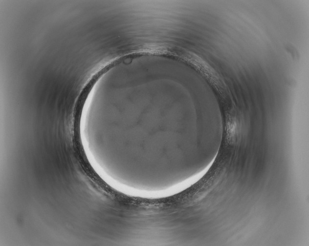 X0000111370484200908211321