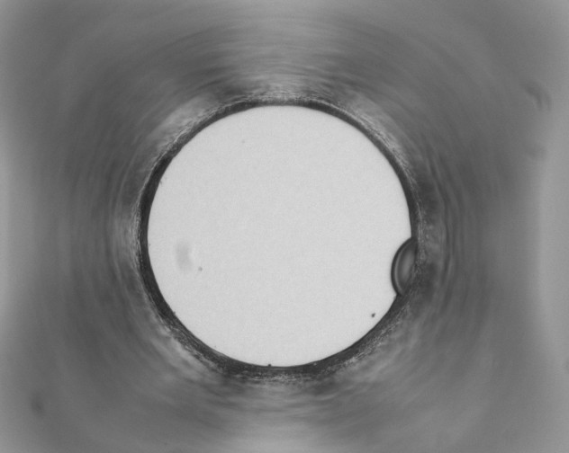X0000111370485200908211321