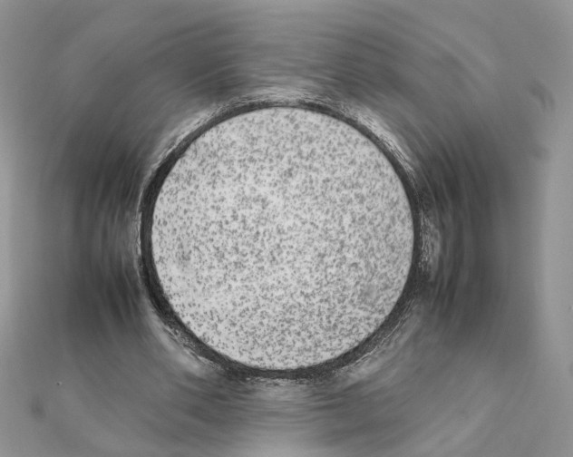 X0000111370486200908211321