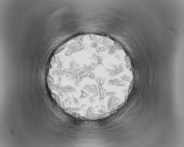 X0000111370487200908211321