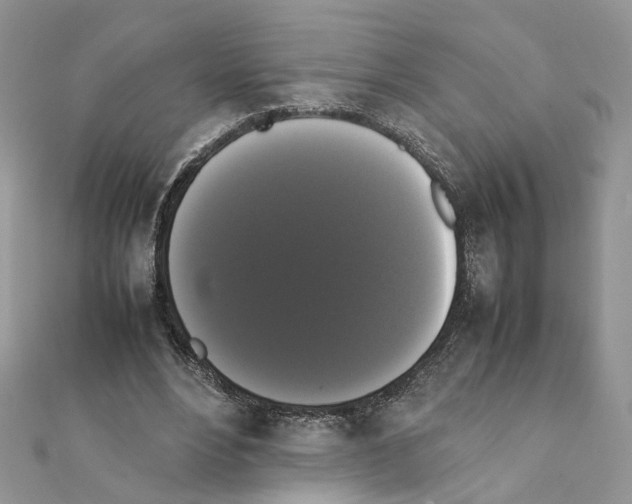 X0000111370488200908211321