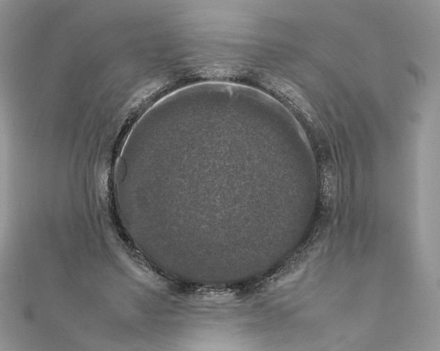 X0000111370491200908211321