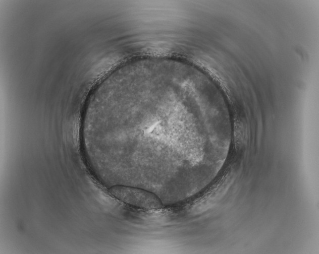 X0000111370493200908211321