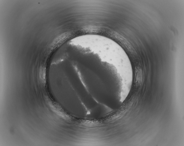 X0000111370494200908211321
